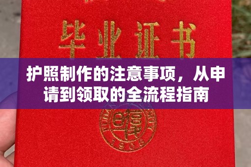 平远护照制作的注意事项，从申请到领取的全流程指南